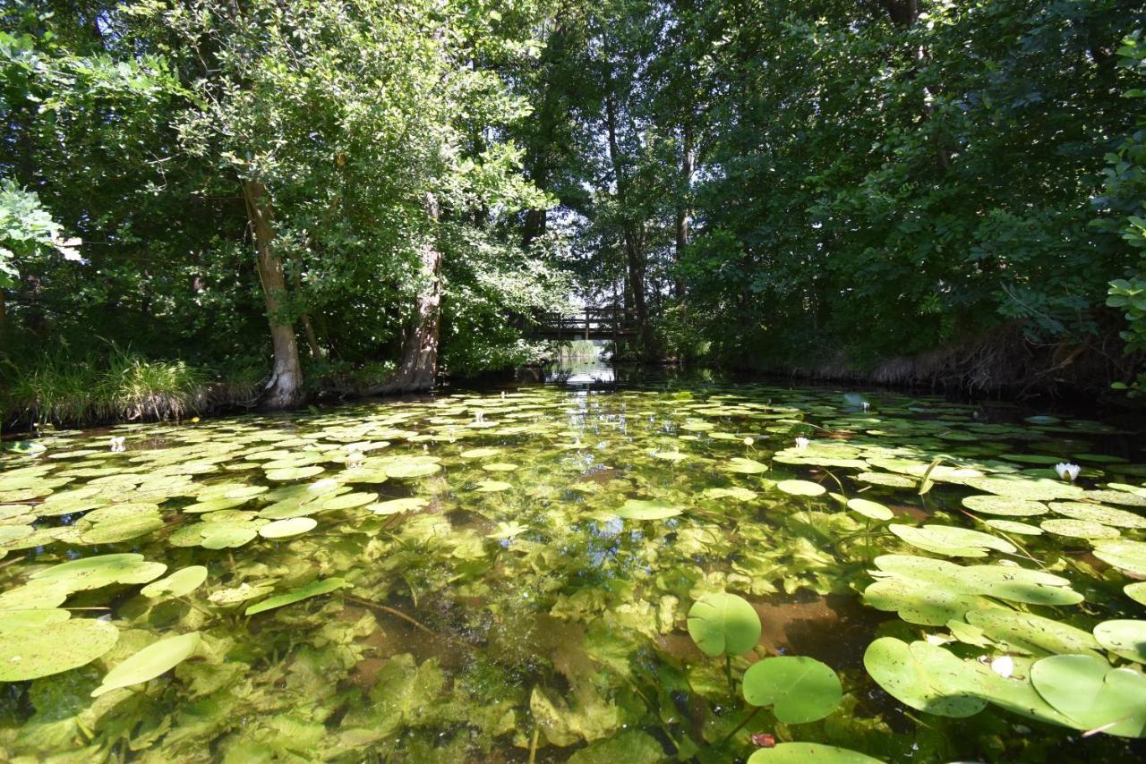Ferienhaus-See-Sauna-Kamin-Hund Mit E-Ladestation Krakow am See Kültér fotó
